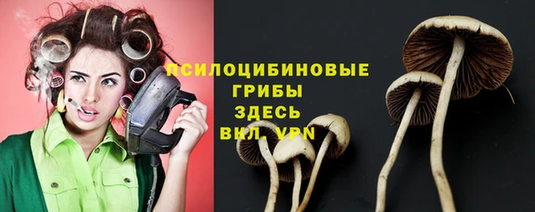 ALPHA-PVP Заволжск