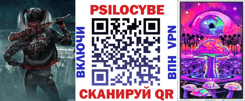 что такое   Солнечногорск  Псилоцибиновые грибы мицелий 