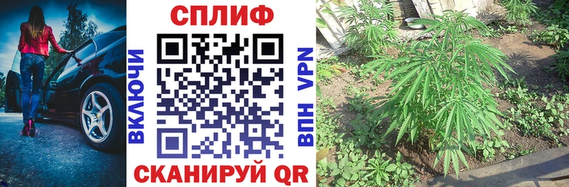 Шишки марихуана THC 21%  Солнечногорск 